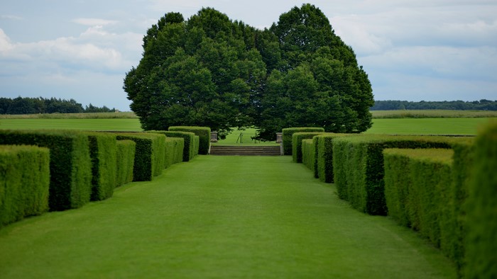 4K Park with Hedges and Trees