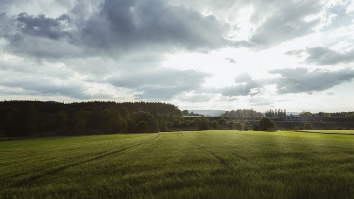 Green field under cloudy sky