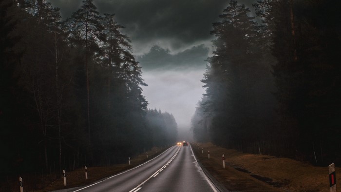 Road through a dark forest with fog