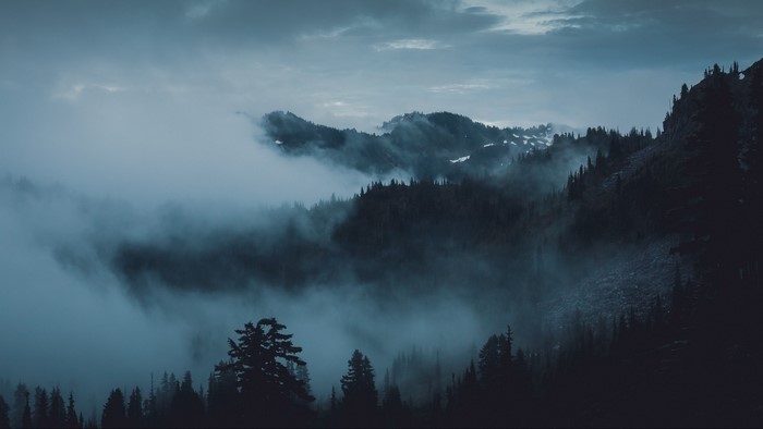 Misty mountains and evergreen forest in Olympic National Park