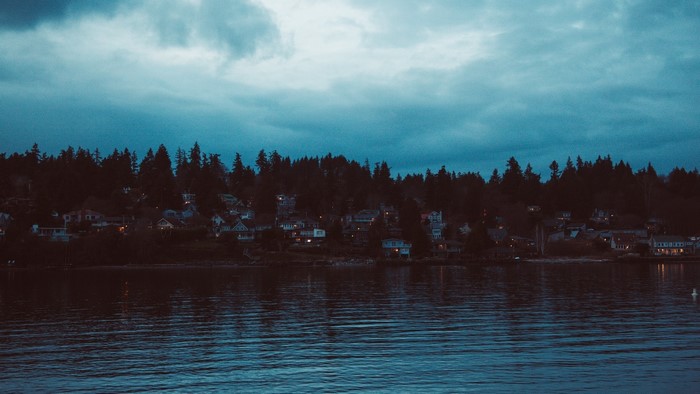 Houses on a forested hill overlooking a body of water