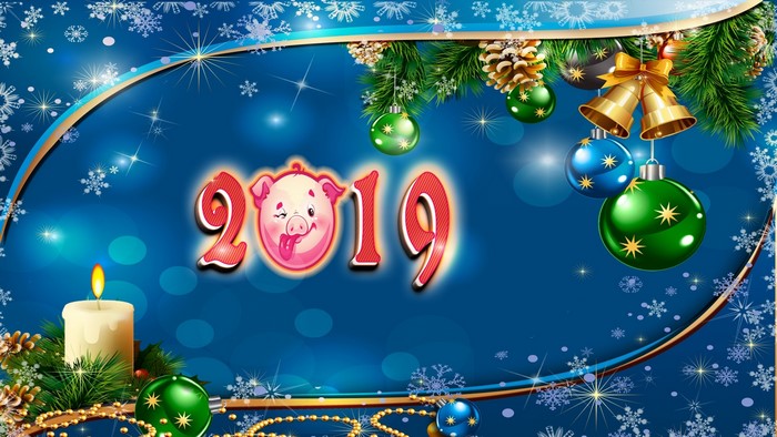 New Year 2019 Pig Celebration