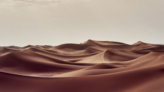Desert sand dunes under a pale sky