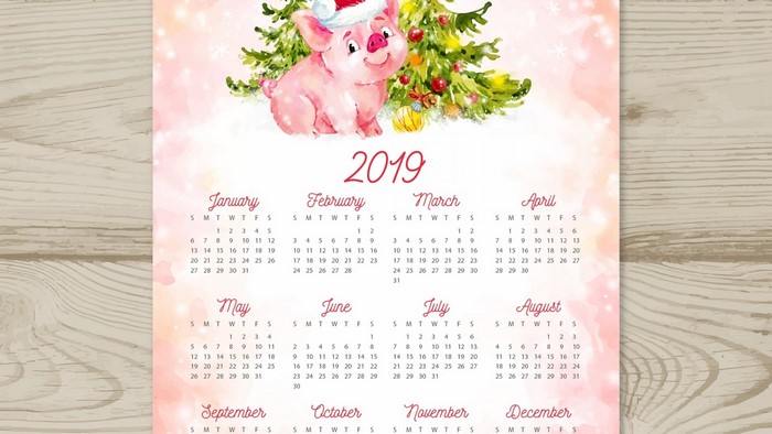 2019 Calendar with Pig and Christmas Tree