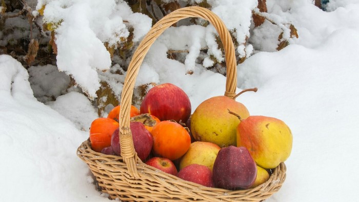 Basket of apples and pears in snow
