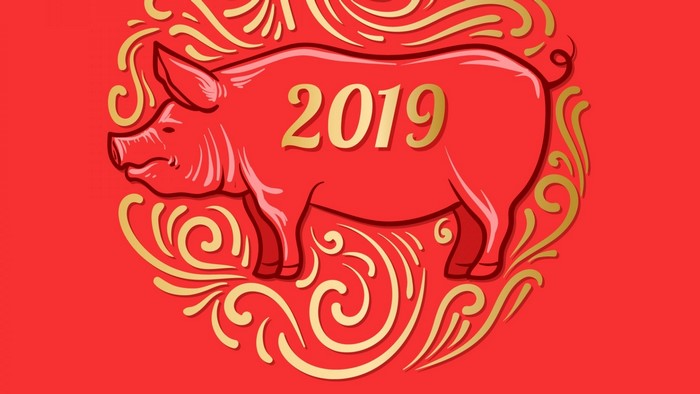 2019 Chinese New Year Pig Illustration