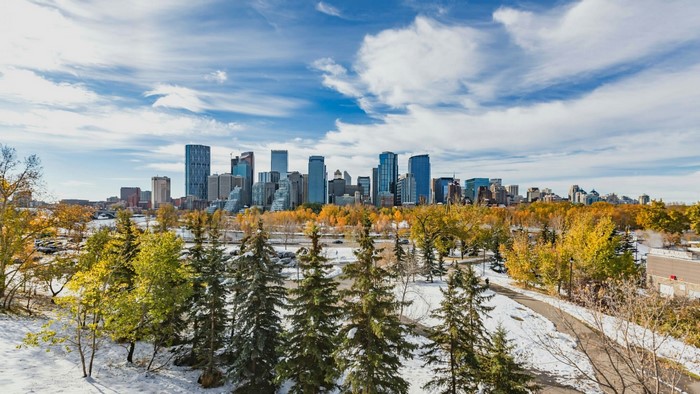 Calgary skyline in winter with snow and autumn leaves