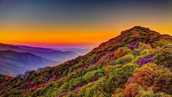 Sequoia National Park Mountain Landscape at Sunset