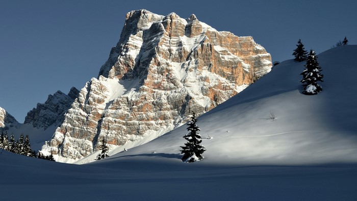 Snowy mountain landscape with pine trees