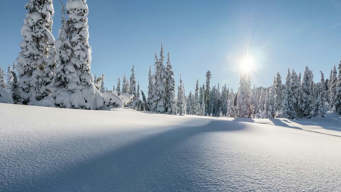 Snowy forest landscape with sun and clear sky