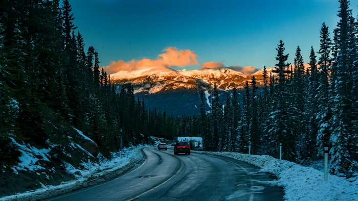 Winter mountain road with snow and pine trees
