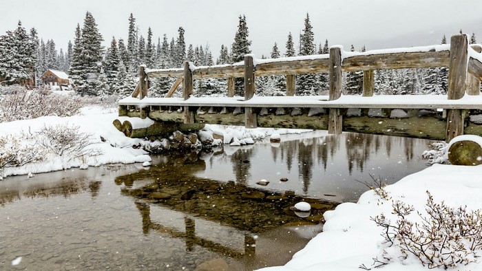 Wooden bridge over a stream in a snowy forest