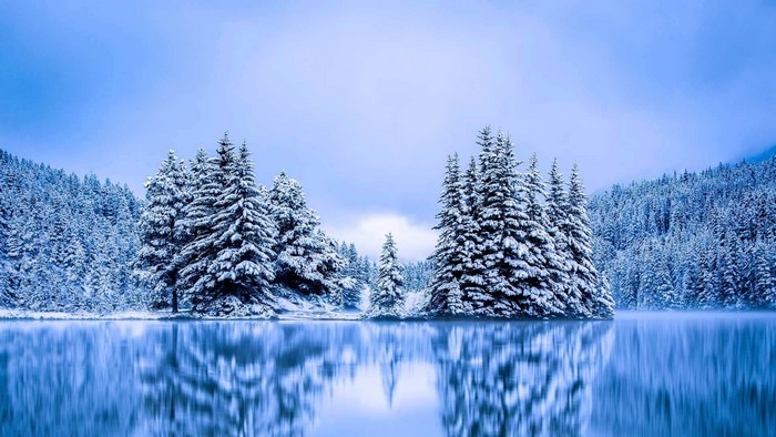 Snow-covered trees reflected in a lake