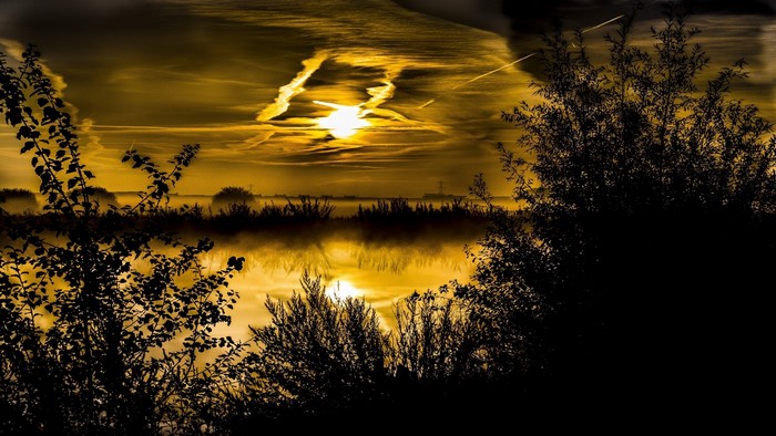 Sunrise over misty water with silhouetted trees