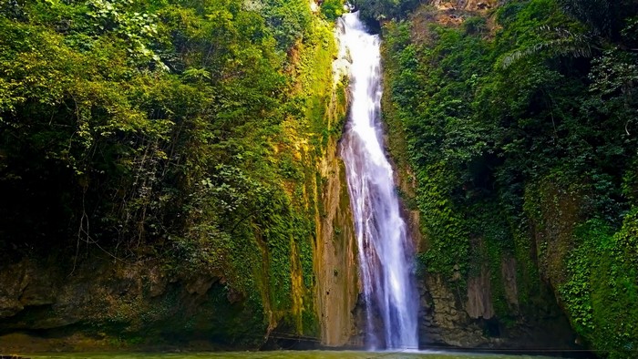 Waterfall in a lush green forest