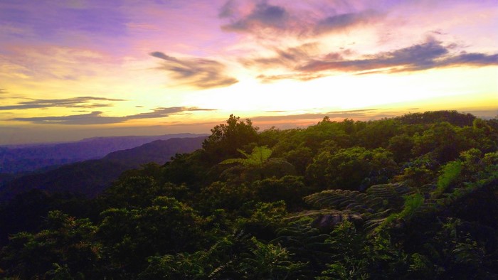 Sunrise over forested mountains
