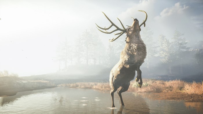 A stag rears up in a misty forest by a river
