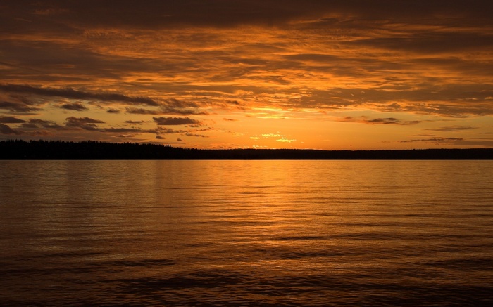 Sunset over a calm lake with silhouetted trees