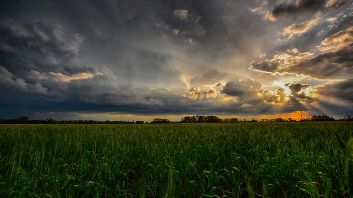 Stormy Sunset Over a Green Field