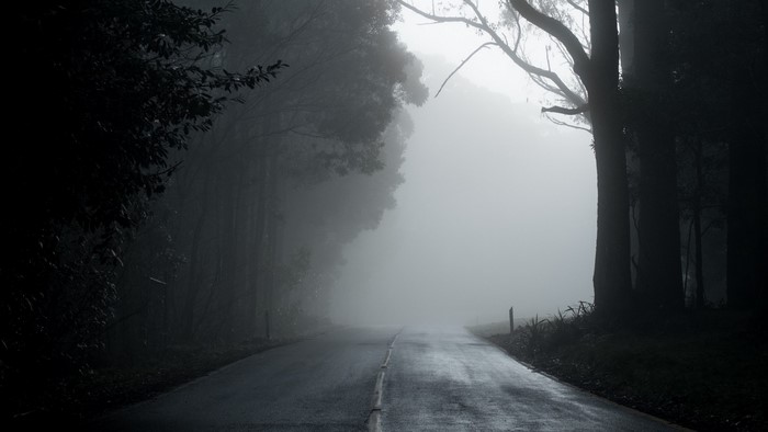 Road through a foggy forest