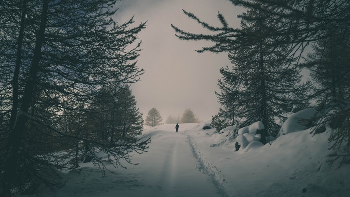 Person walking on a snowy path in a forest