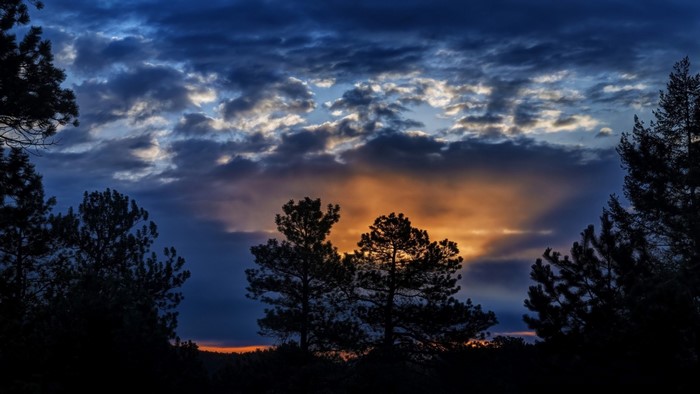 Sunset clouds over silhouetted trees
