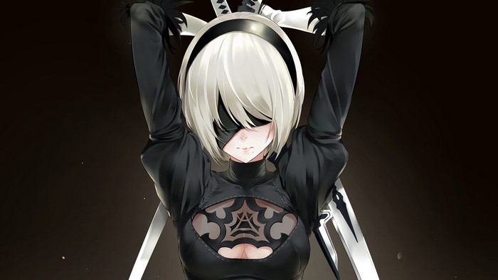 2B from Nier: Automata with swords
