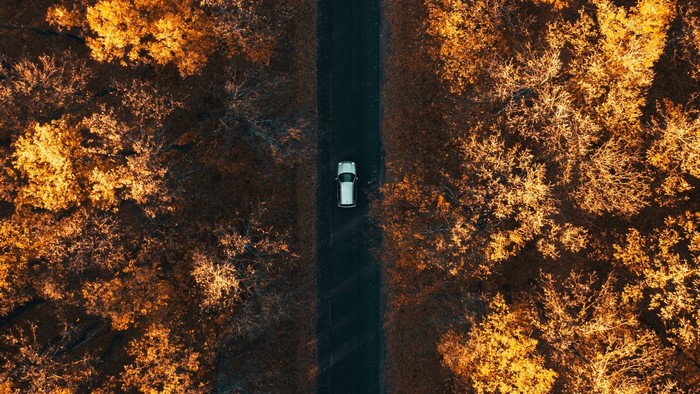 Aerial view of a car on a road through autumn forest