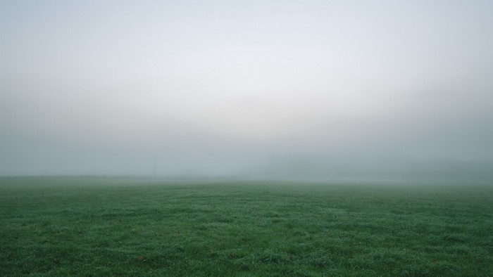 Foggy Field with Distant Pole
