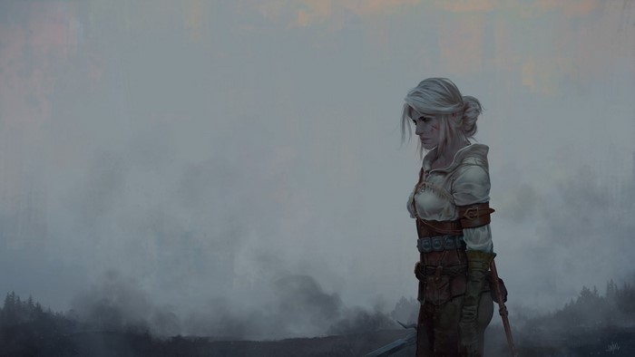 Ciri from The Witcher 3 Wild Hunt