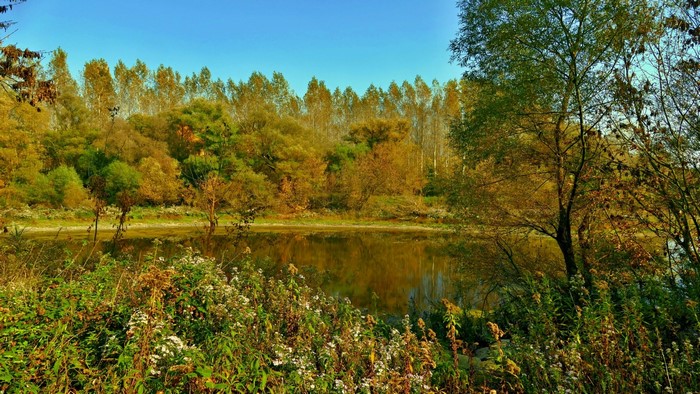Autumn forest reflected in a calm lake