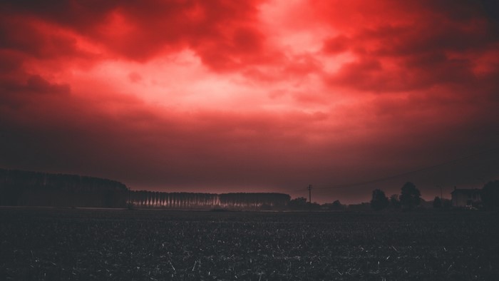 Red Sky Over Field and Trees