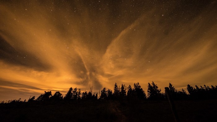 Starry sky with clouds over trees