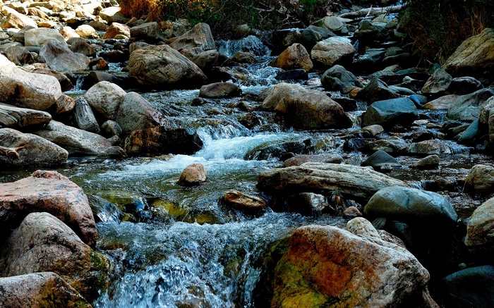 Rocky stream with flowing water