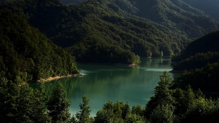 Lake surrounded by forested mountains