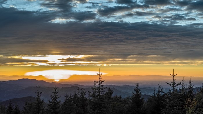 Sunset over mountains with pine trees