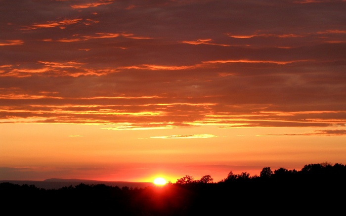 Sunset over a silhouetted forest