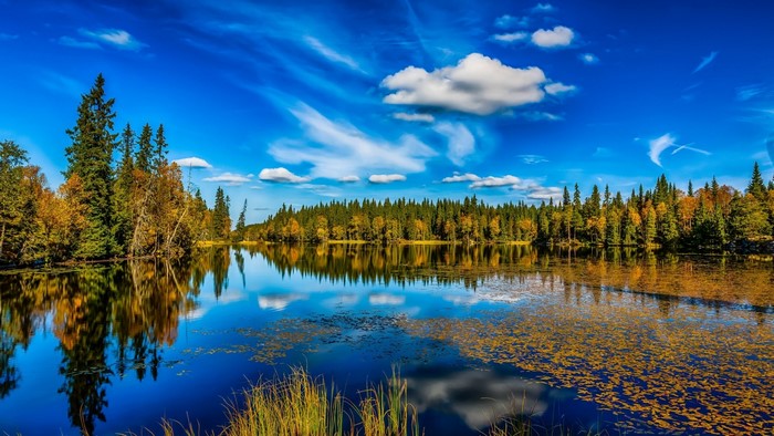 Autumn forest reflected in a lake under a blue sky