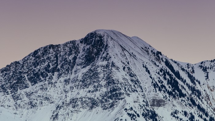Snow-covered mountain peak with pine trees