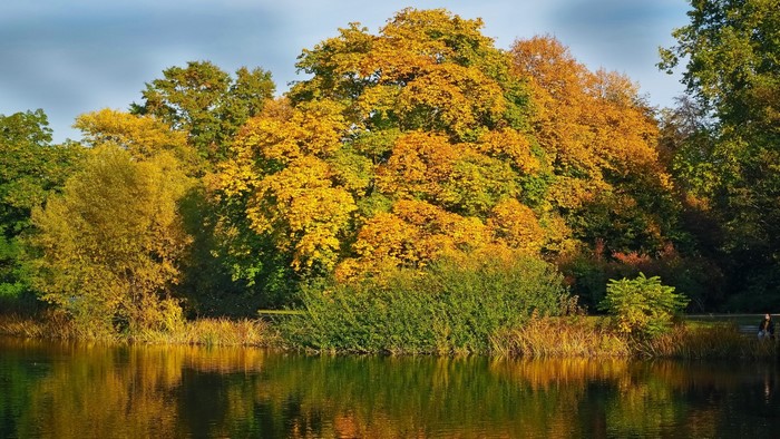 Autumn trees reflected in a lake