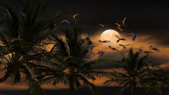 Parrots flying near palm trees and moon