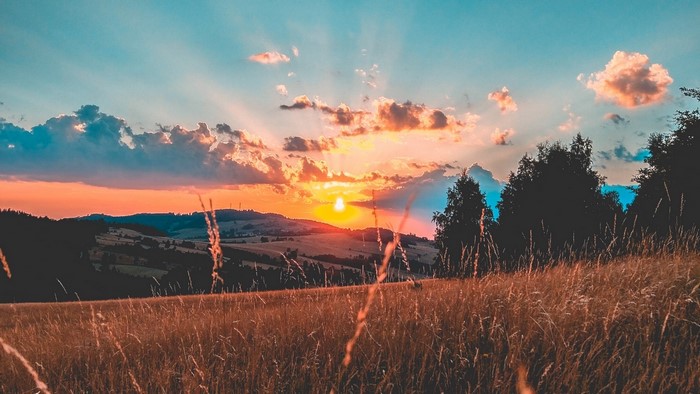 Sunset over rolling hills with tall grass