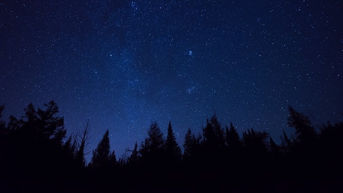 Starry night sky over a forest silhouette