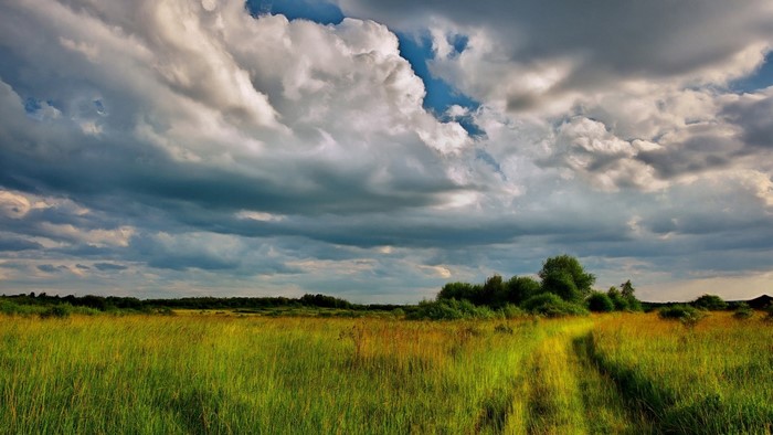 Grassy field with dramatic clouds
