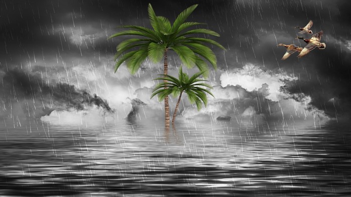 Palm trees in a stormy sea with flying ducks