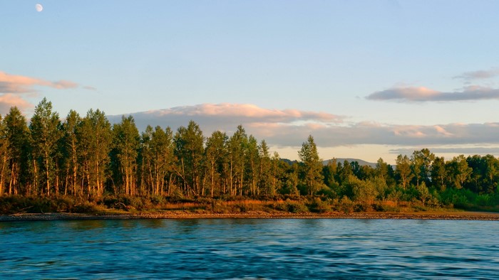 Riverbank with Trees and Moon
