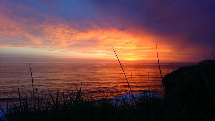 Sunset over the ocean with grass in the foreground