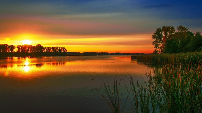 Sunset over a lake with trees and reeds