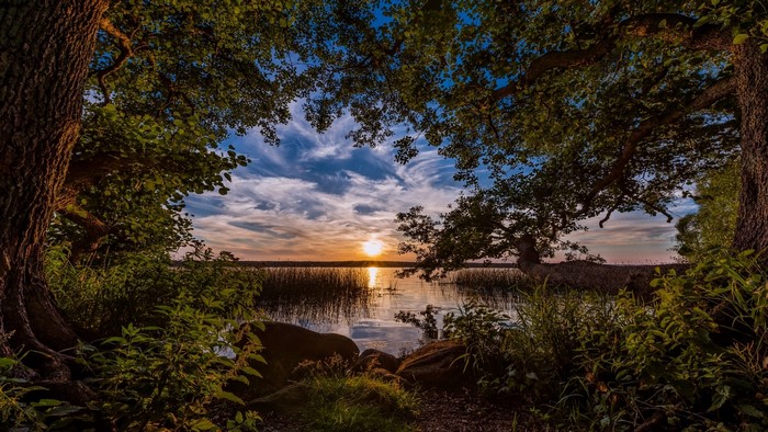 Sunset over a lake framed by trees