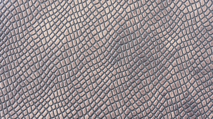 4K Leather Texture